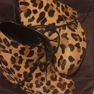 Steve Madden wedge Leopard Wedge Anne Bootie